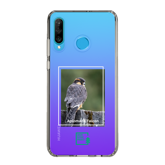 Slim Protection Case［ Green Future Project - Aplomado Falcon ］