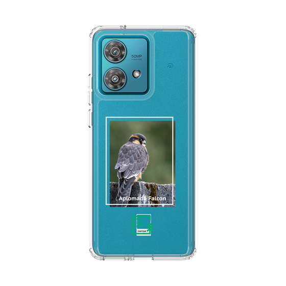 Slim Protection Case［ Green Future Project - Aplomado Falcon ］
