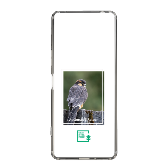 Slim Protection Case［ Green Future Project - Aplomado Falcon ］