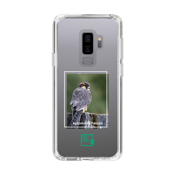 Slim Protection Case［ Green Future Project - Aplomado Falcon ］