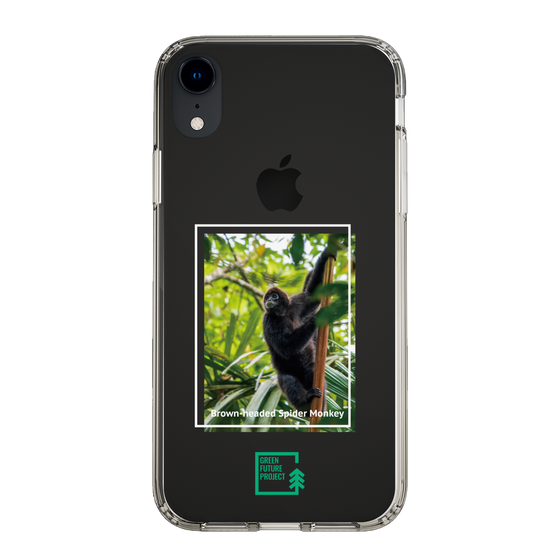 Slim Protection Case［ Green Future Project - Brown-headed Spider Monkey ］