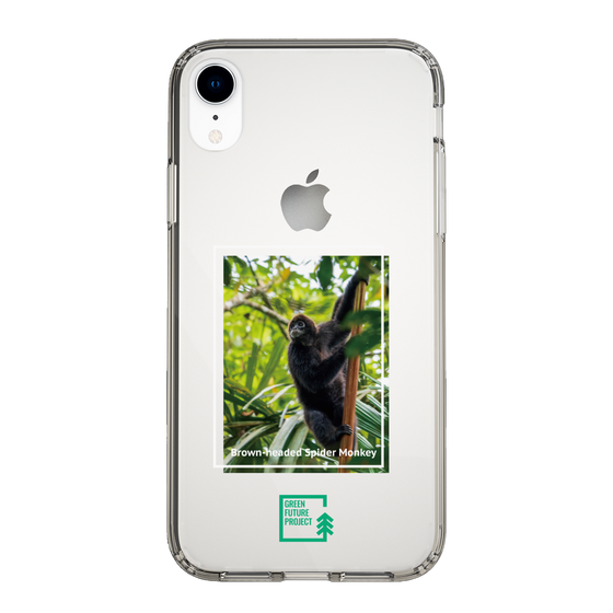 Slim Protection Case［ Green Future Project - Brown-headed Spider Monkey ］