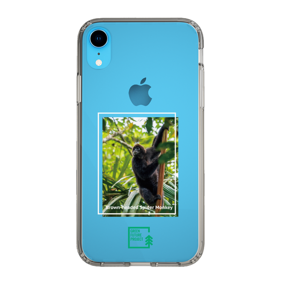 Slim Protection Case［ Green Future Project - Brown-headed Spider Monkey ］