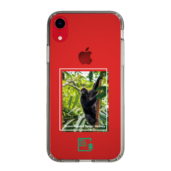 Slim Protection Case［ Green Future Project - Brown-headed Spider Monkey ］