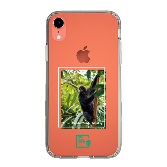 Slim Protection Case［ Green Future Project - Brown-headed Spider Monkey ］