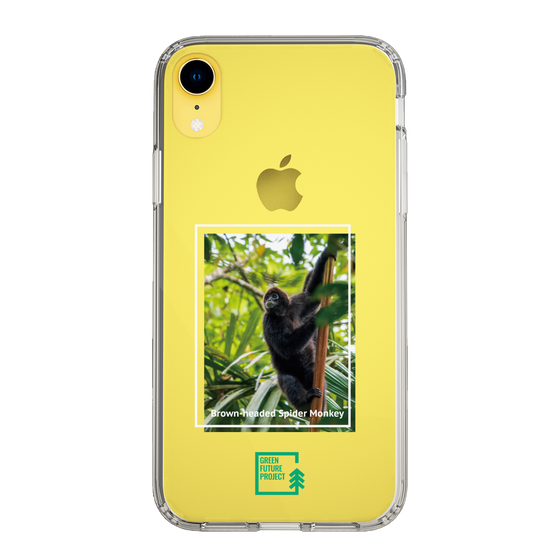 Slim Protection Case［ Green Future Project - Brown-headed Spider Monkey ］