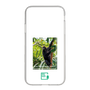 Slim Protection Case［ Green Future Project - Brown-headed Spider Monkey ］