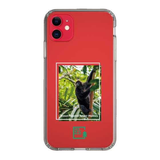 Slim Protection Case［ Green Future Project - Brown-headed Spider Monkey ］