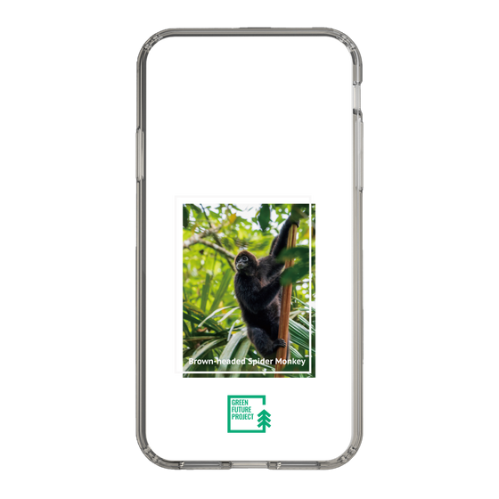 Slim Protection Case［ Green Future Project - Brown-headed Spider Monkey ］