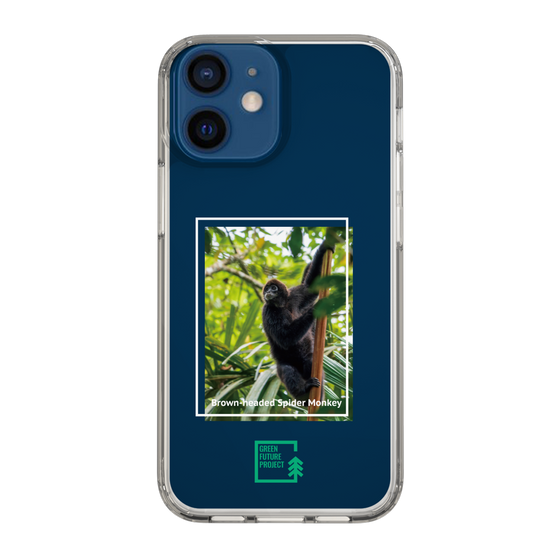 Slim Protection Case［ Green Future Project - Brown-headed Spider Monkey ］