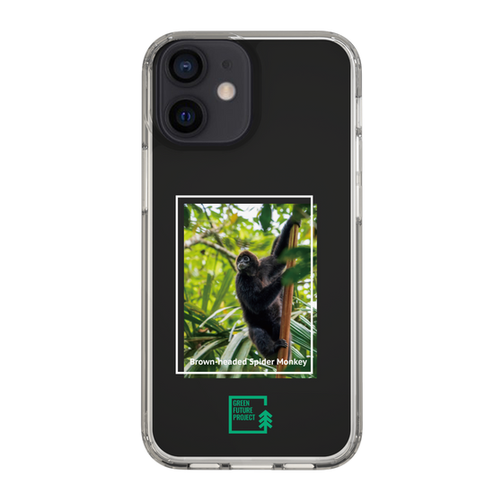 Slim Protection Case［ Green Future Project - Brown-headed Spider Monkey ］