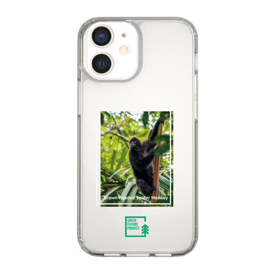 Slim Protection Case［ Green Future Project - Brown-headed Spider Monkey ］