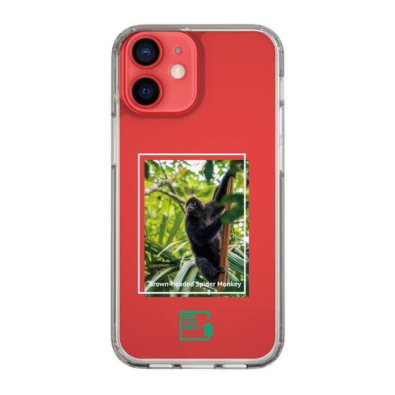 Slim Protection Case［ Green Future Project - Brown-headed Spider Monkey ］