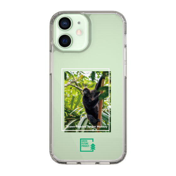 Slim Protection Case［ Green Future Project - Brown-headed Spider Monkey ］