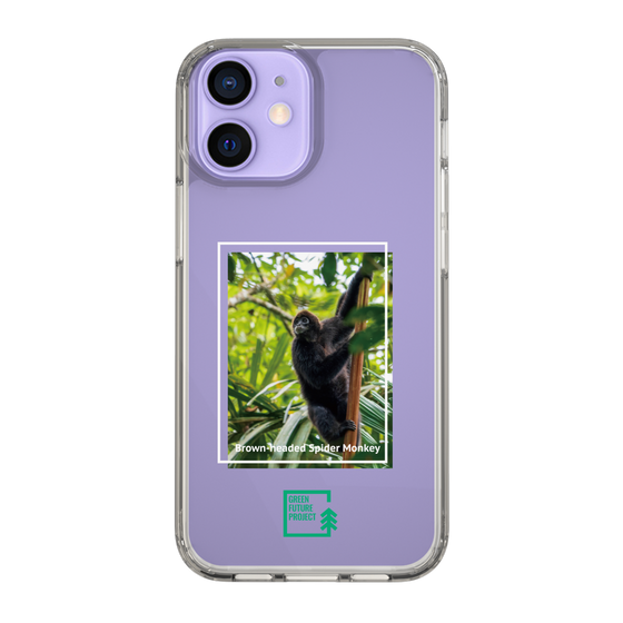 Slim Protection Case［ Green Future Project - Brown-headed Spider Monkey ］