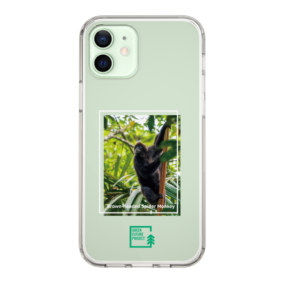 Slim Protection Case［ Green Future Project - Brown-headed Spider Monkey ］
