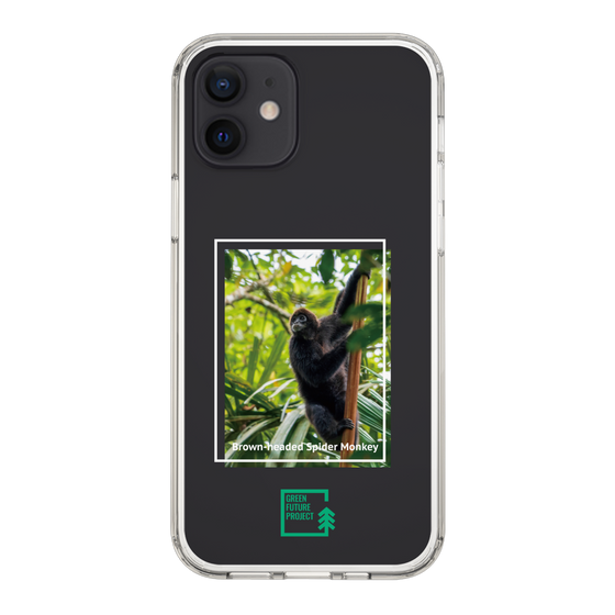 Slim Protection Case［ Green Future Project - Brown-headed Spider Monkey ］