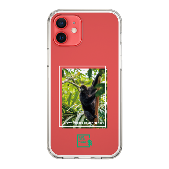 Slim Protection Case［ Green Future Project - Brown-headed Spider Monkey ］