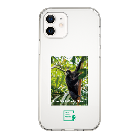 Slim Protection Case［ Green Future Project - Brown-headed Spider Monkey ］