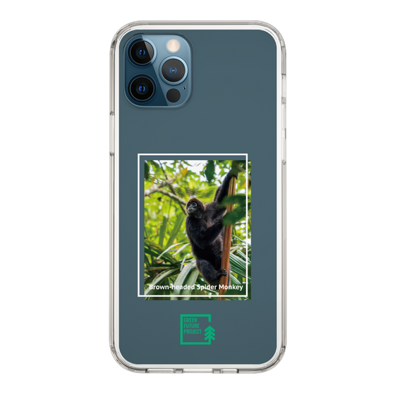 Slim Protection Case［ Green Future Project - Brown-headed Spider Monkey ］