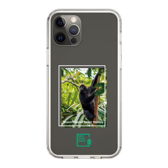 Slim Protection Case［ Green Future Project - Brown-headed Spider Monkey ］