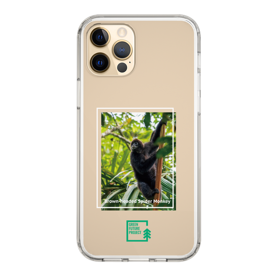 Slim Protection Case［ Green Future Project - Brown-headed Spider Monkey ］