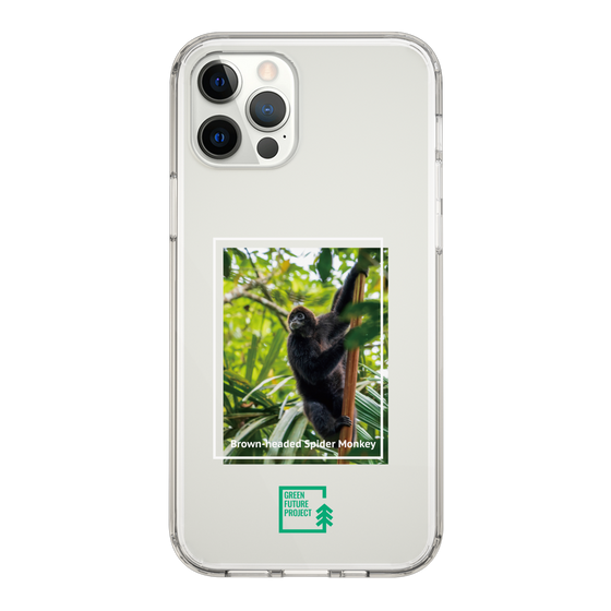 Slim Protection Case［ Green Future Project - Brown-headed Spider Monkey ］
