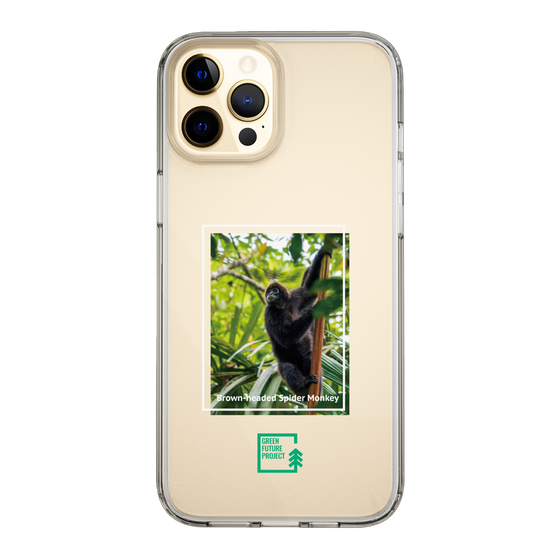 Slim Protection Case［ Green Future Project - Brown-headed Spider Monkey ］