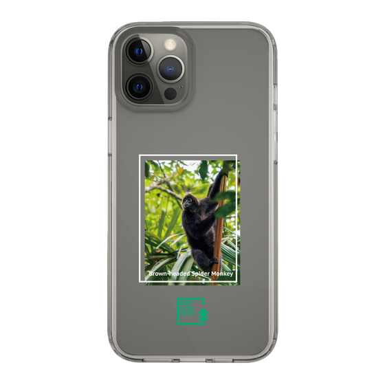 Slim Protection Case［ Green Future Project - Brown-headed Spider Monkey ］