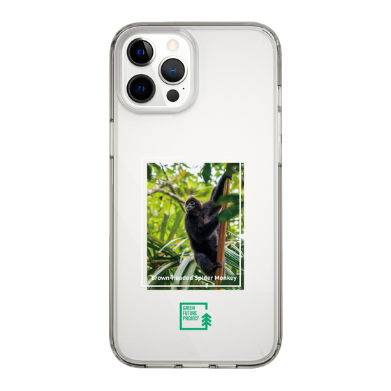 Slim Protection Case［ Green Future Project - Brown-headed Spider Monkey ］