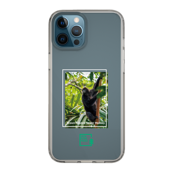 Slim Protection Case［ Green Future Project - Brown-headed Spider Monkey ］