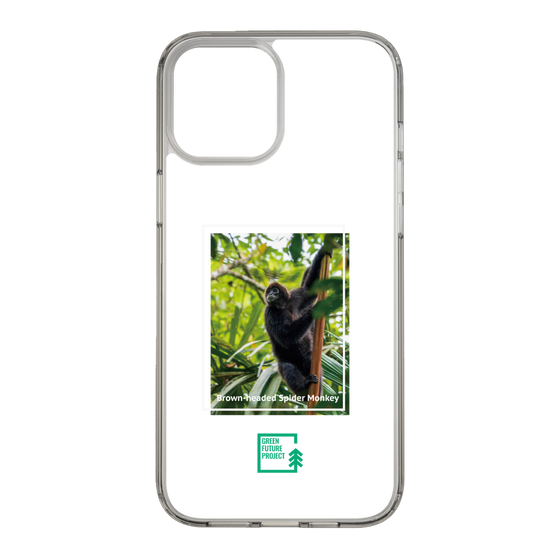 Slim Protection Case［ Green Future Project - Brown-headed Spider Monkey ］