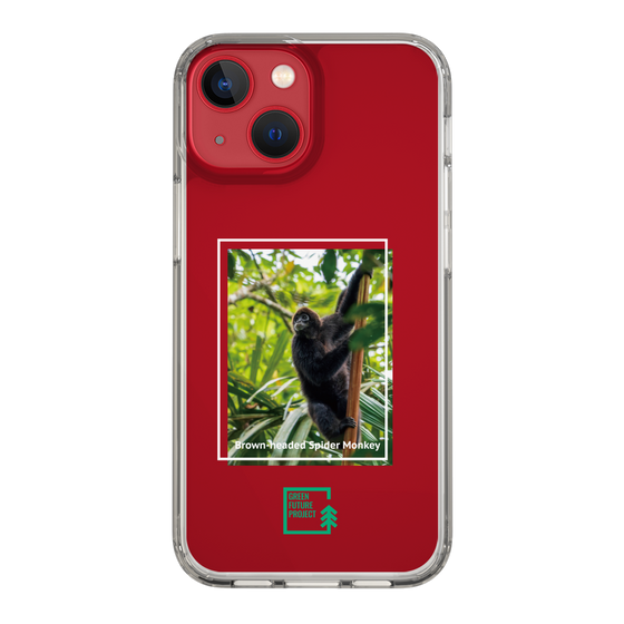 Slim Protection Case［ Green Future Project - Brown-headed Spider Monkey ］