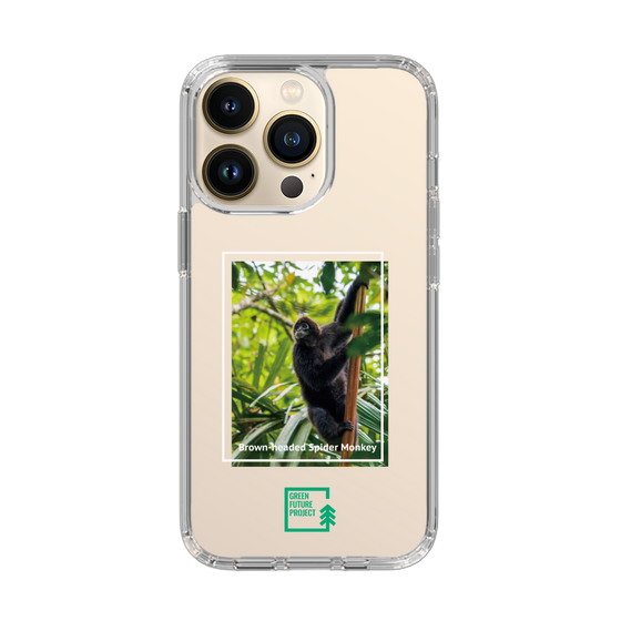 Slim Protection Case［ Green Future Project - Brown-headed Spider Monkey ］