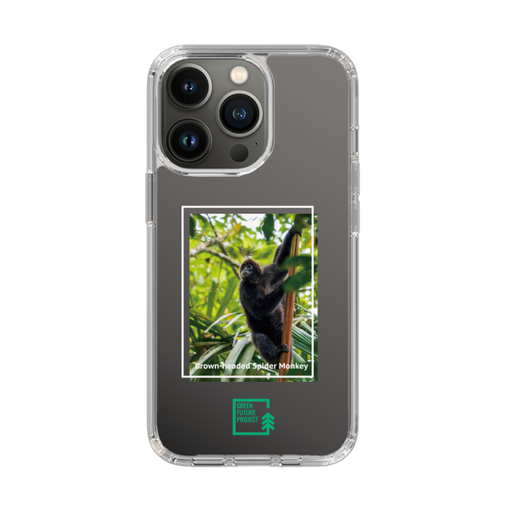Slim Protection Case［ Green Future Project - Brown-headed Spider Monkey ］