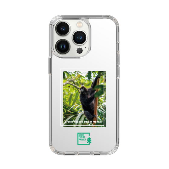 Slim Protection Case［ Green Future Project - Brown-headed Spider Monkey ］