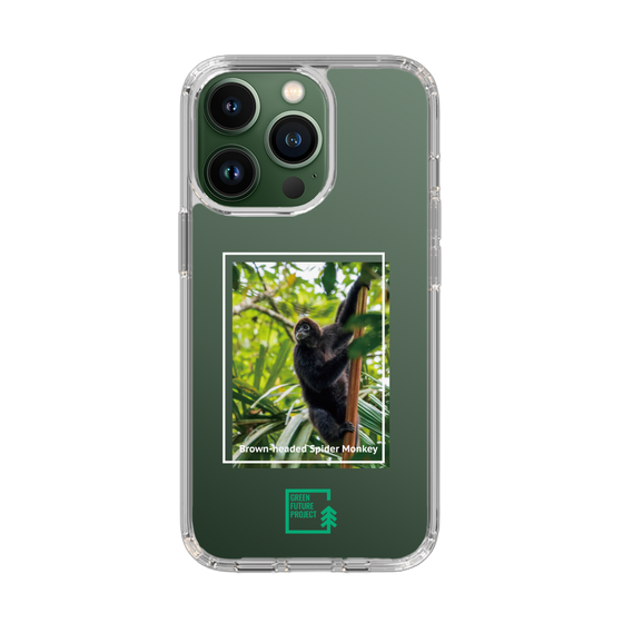 Slim Protection Case［ Green Future Project - Brown-headed Spider Monkey ］