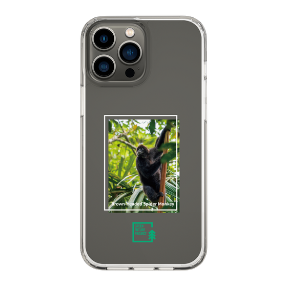 Slim Protection Case［ Green Future Project - Brown-headed Spider Monkey ］