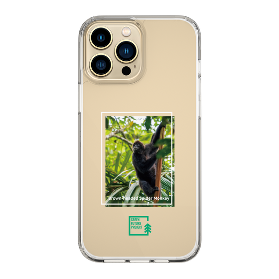 Slim Protection Case［ Green Future Project - Brown-headed Spider Monkey ］
