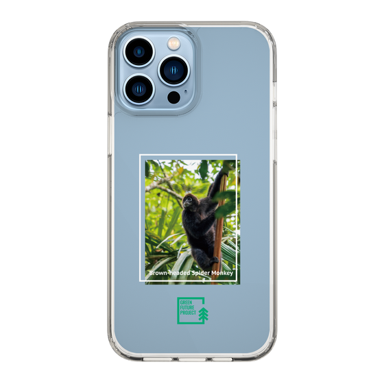 Slim Protection Case［ Green Future Project - Brown-headed Spider Monkey ］