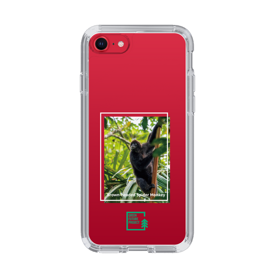 Slim Protection Case［ Green Future Project - Brown-headed Spider Monkey ］