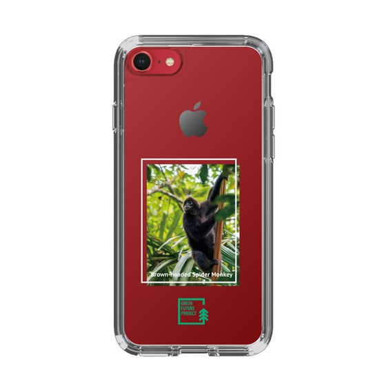 Slim Protection Case［ Green Future Project - Brown-headed Spider Monkey ］