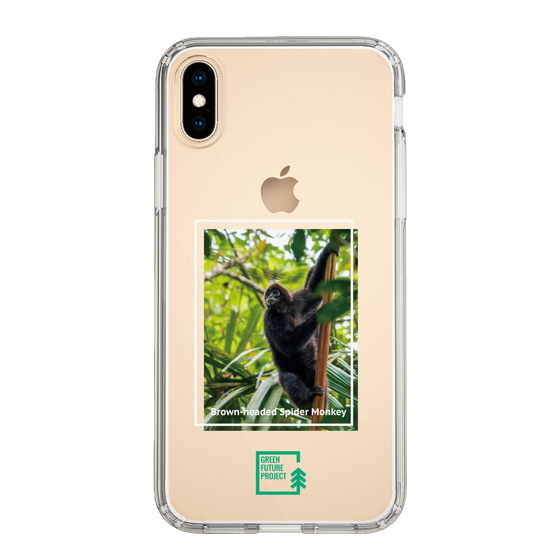 Slim Protection Case［ Green Future Project - Brown-headed Spider Monkey ］