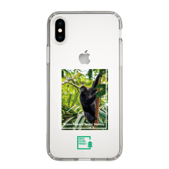 Slim Protection Case［ Green Future Project - Brown-headed Spider Monkey ］