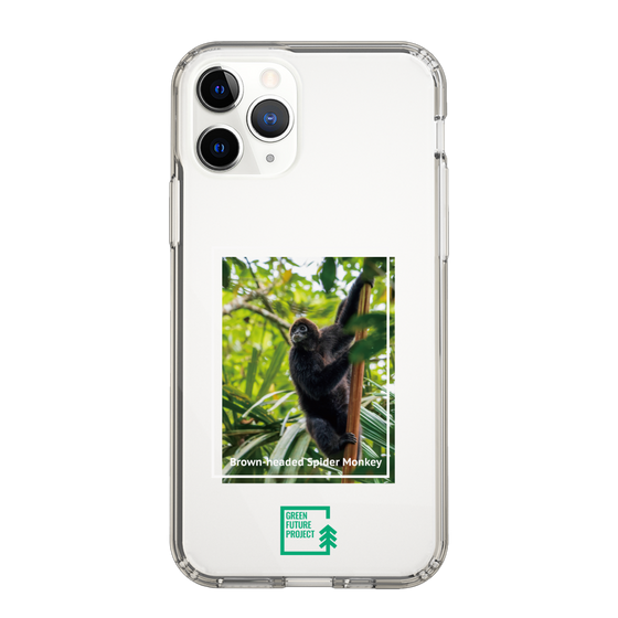 Slim Protection Case［ Green Future Project - Brown-headed Spider Monkey ］