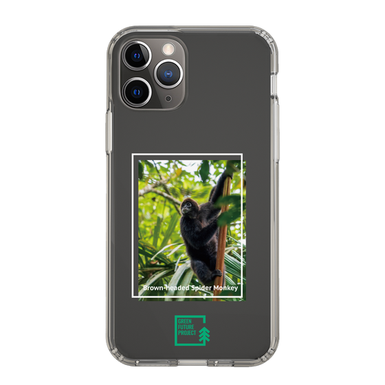 Slim Protection Case［ Green Future Project - Brown-headed Spider Monkey ］