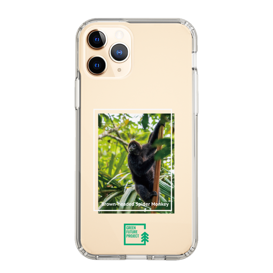 Slim Protection Case［ Green Future Project - Brown-headed Spider Monkey ］
