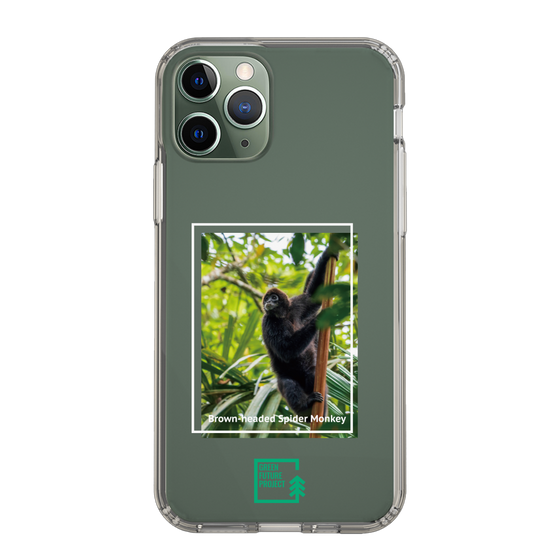 Slim Protection Case［ Green Future Project - Brown-headed Spider Monkey ］