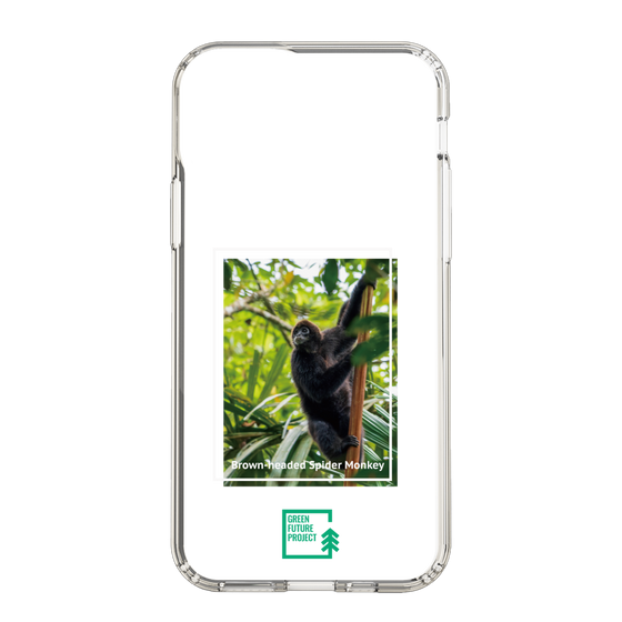 Slim Protection Case［ Green Future Project - Brown-headed Spider Monkey ］