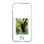 Slim Protection Case［ Green Future Project - Brown-headed Spider Monkey ］